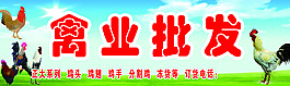 禽业海报