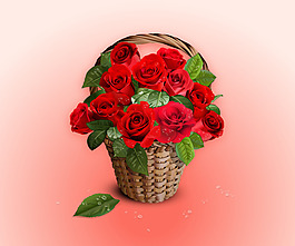 玫瑰花藍(lán)背景矢量素材