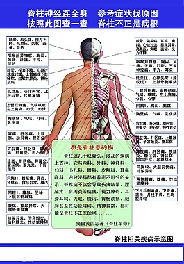 脊柱梳理盲人按摩脊椎
