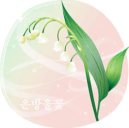 植物铃兰