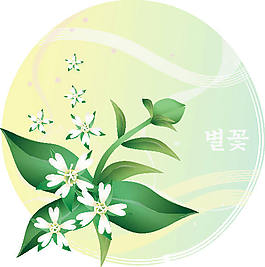 絡(luò)石白色花