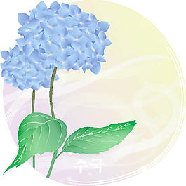 植物插圖繡球花