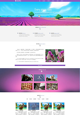 唯美旅游網(wǎng)站模板PSD素材