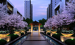 花園夜景