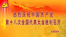 慶祝代表大會勝利召開展板