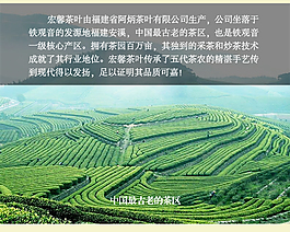 茶葉