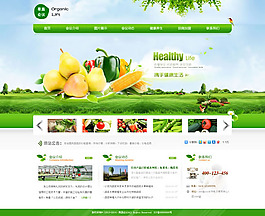 果蔬農業網站PSD素材