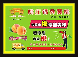 姚莊錦繡黃桃