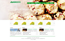 農(nóng)業(yè)網(wǎng)站模板PSD素材