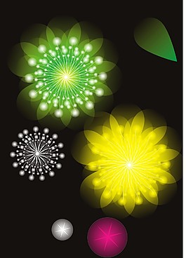 花蒲公英