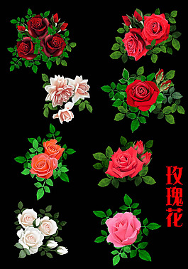 情人節(jié)玫瑰花圖片PSD分層素材