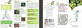 清凈果宣傳單
