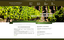 清新風格葡萄酒莊園網站設計圖片