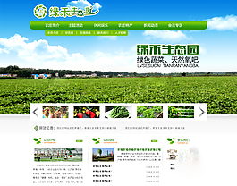 企業(yè)網(wǎng)站圖片