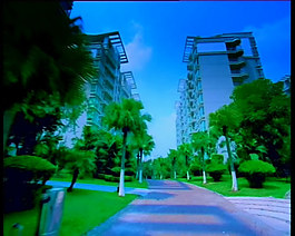 城市馬路實(shí)拍場景素材視頻素材