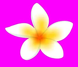矢量花
