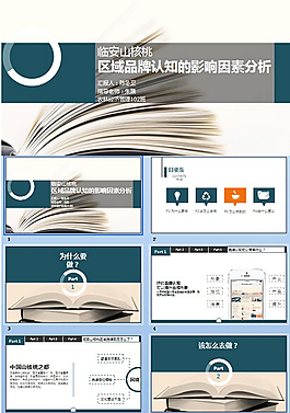 品牌分析PPT模板