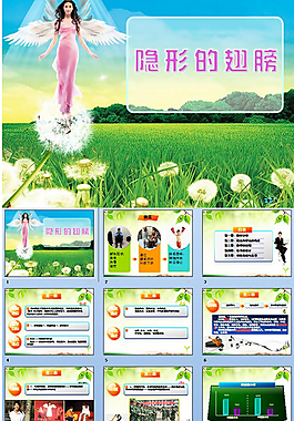 隱性的翅膀PPT模板
