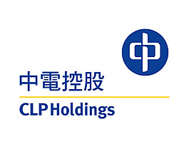 中電控股