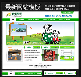 綠色網(wǎng)站模板設(shè)計PSD圖片