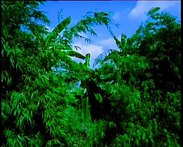 河流船運(yùn)視頻素材