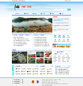 政府網(wǎng)站圖片