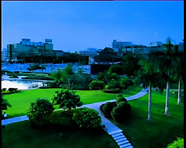 城市內(nèi)雅致實景視頻素材