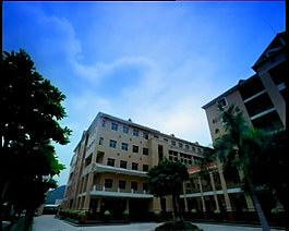 城市內(nèi)雅致的小區(qū)視頻素材