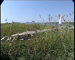 女孩站在河邊視頻素材