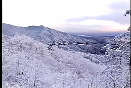 雪景視頻素材