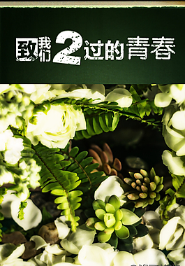 致青春旅游