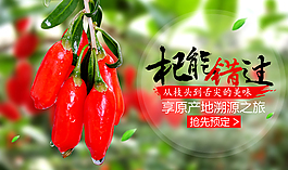 天貓大焦