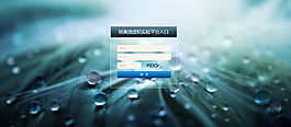 網(wǎng)站后臺(tái)登陸界面設(shè)計(jì)圖片