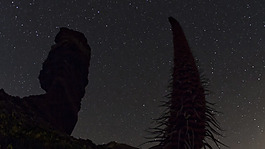 星空夜景視頻素材