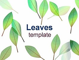 葉子的模板