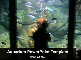 水族馆的模板