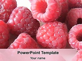 樹(shù)莓的PowerPoint模板