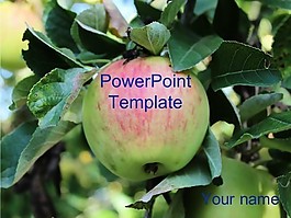 蘋果的PowerPoint模板