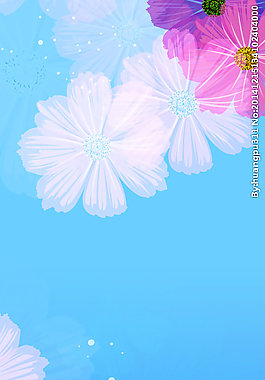 網(wǎng)頁背景（花）圖片