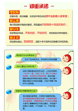 郑重承诺