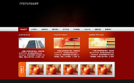 企業(yè)網(wǎng)站圖片
