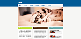 企業(yè)網(wǎng)站圖片