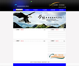 企業(yè)網(wǎng)站圖片