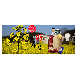 油菜花圖片