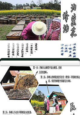 蜂蜜詳情頁