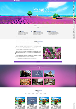 網(wǎng)頁(yè)模板圖片