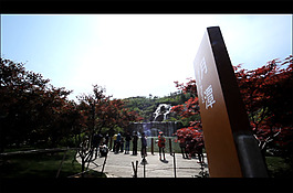 山水風景