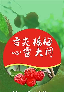 杨梅展架