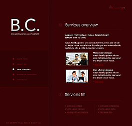 國外公司商業類網站圖片