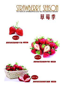 草莓活動(dòng)模板下載